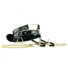 COLLAR CON PINZAS PARA LOS PEZONES GOLD