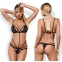 WONDERIA TEDDY