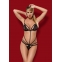 WONDERIA TEDDY