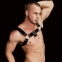 arnes masculino ajustable simil cuero