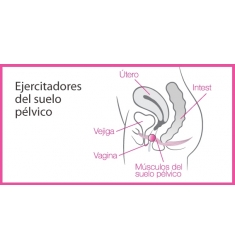 BOLAS PARA  tonificar el suelo pélvico