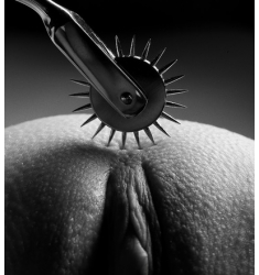 RUEDA WARTENBERG ACERO INOX WARTENBERG WHEEL