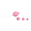 CONO VAGINAL TRATAMIENTO DE SUELO PELVICO