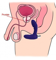 PROSTÁTICO DE SILICONA MEDICA 7 MODOS DE VIBRACION