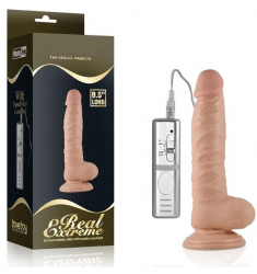 PENE REALISTICO CON VIBRACION 22CM