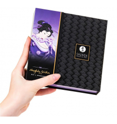 SHUNGA  GEISHA KIT MOMENTOS INTIMOS