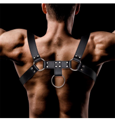 arnes masculino ajustable