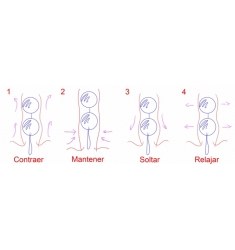 BOLAS PARA  tonificar el suelo pélvico