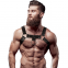 arnes masculino ajustable