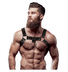 arnes masculino ajustable
